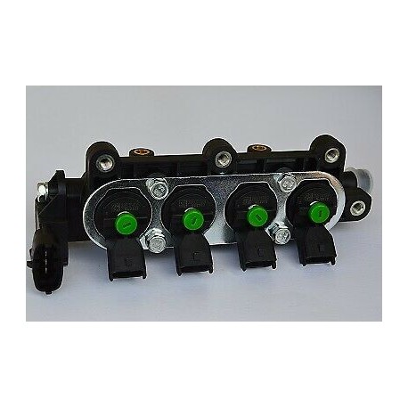 INJB001VRCN Iniettore Vercesi Gas 5.0 Verde